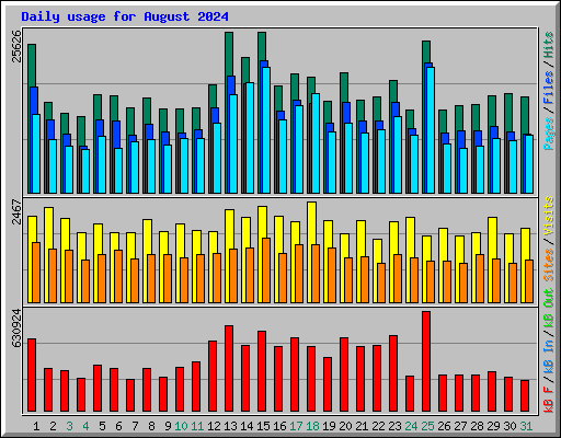 Daily usage for August 2024