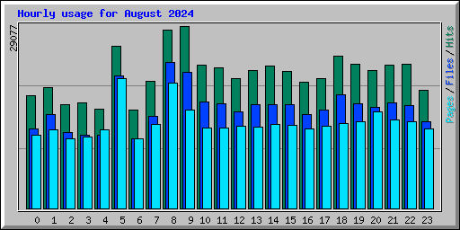 Hourly usage for August 2024