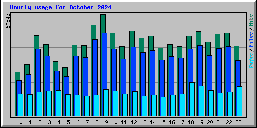 Hourly usage for October 2024