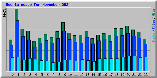 Hourly usage for November 2024