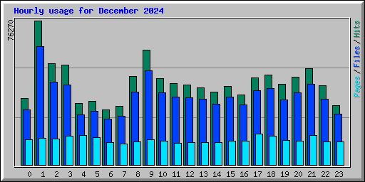 Hourly usage for December 2024