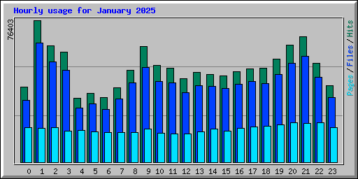 Hourly usage for January 2025