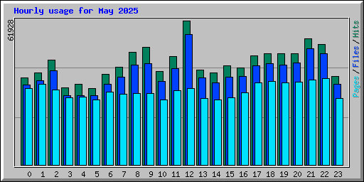 Hourly usage for May 2025