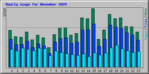 Hourly usage for November 2025