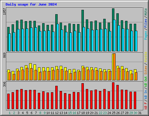 Daily usage for June 2024