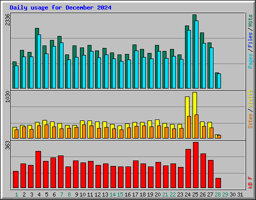 Daily usage for December 2024