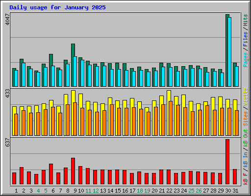 Daily usage for January 2025