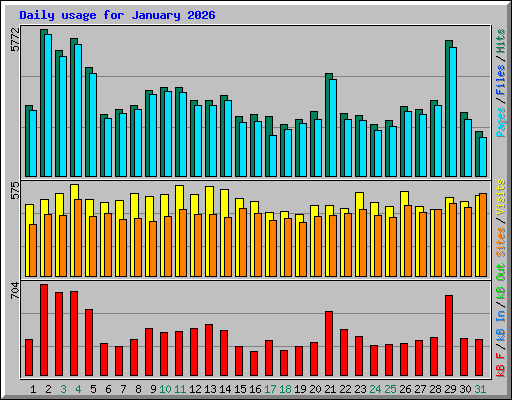 Daily usage for January 2026
