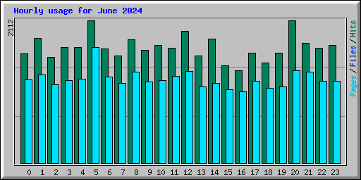 Hourly usage for June 2024