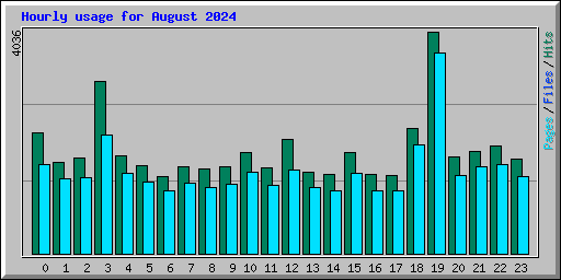 Hourly usage for August 2024