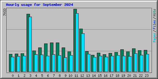 Hourly usage for September 2024