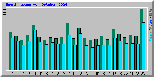 Hourly usage for October 2024