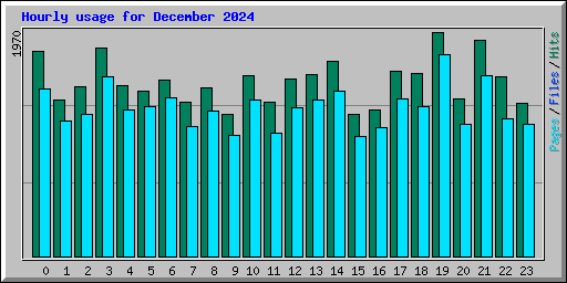 Hourly usage for December 2024