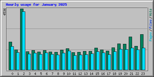 Hourly usage for January 2025