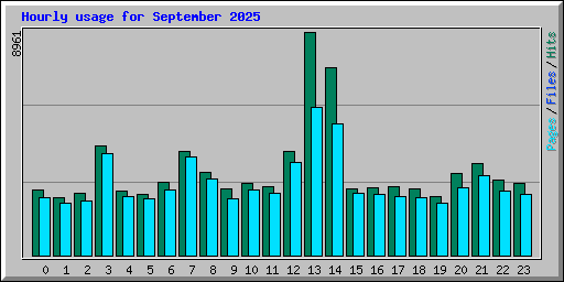 Hourly usage for September 2025