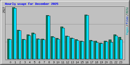 Hourly usage for December 2025
