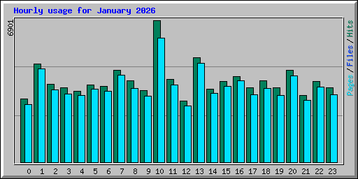 Hourly usage for January 2026