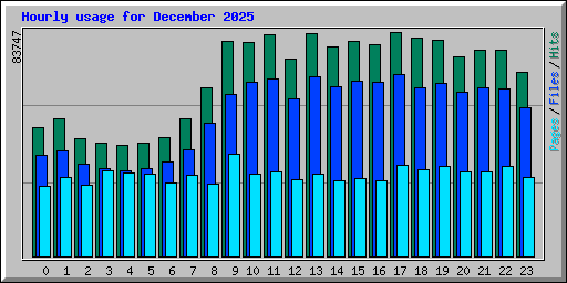 Hourly usage for December 2025